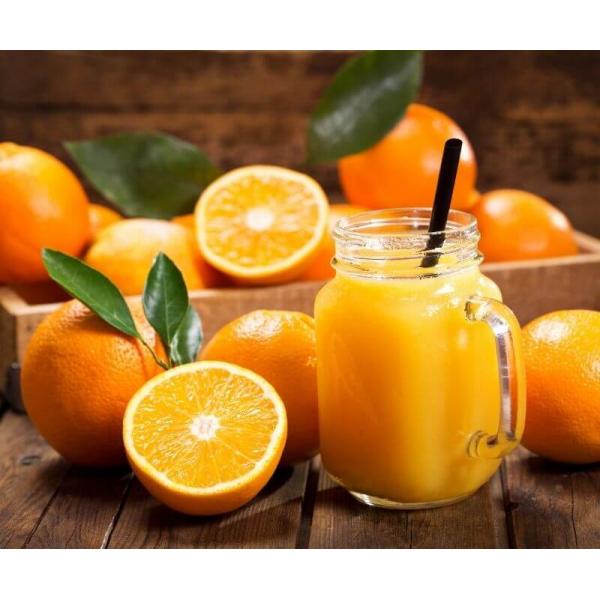 ARIETE SPREMIAGRUMI VINTAGE VERDE (0413/05) - CHASSIS IN METALLO - 2 CONI - MOTORE SILENZIOSO - 85W