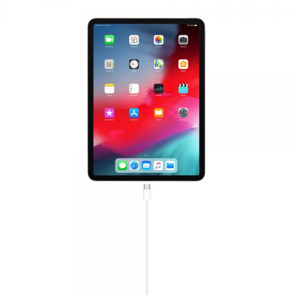 APPLE CAVO DI RICARICA RAPIDA 1M USB-C (MM093ZM/A)