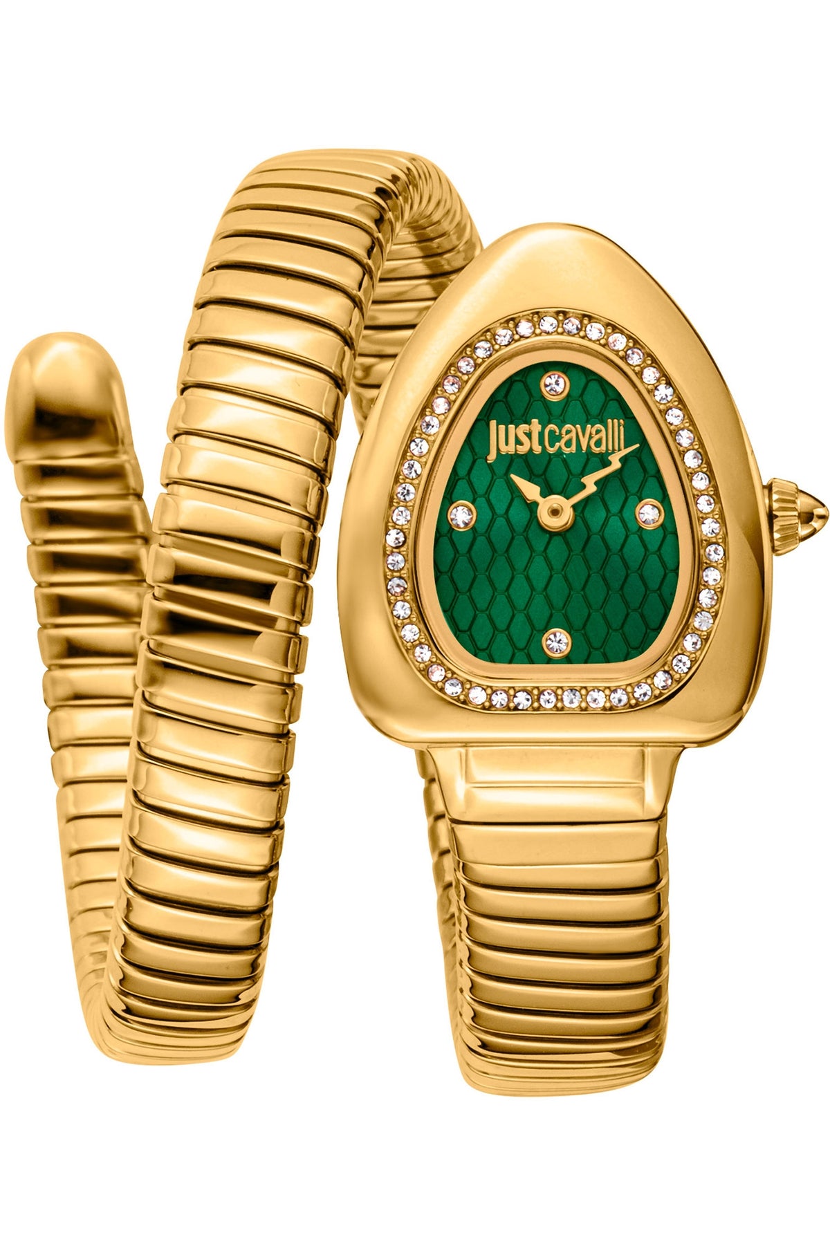 JUST CAVALLI TIME WATCHES Mod. JC1L249M0035