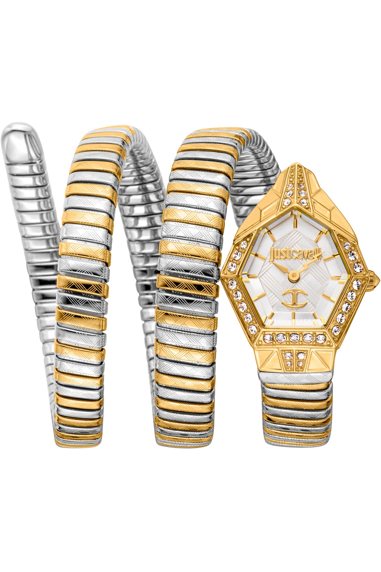 JUST CAVALLI Mod.JC1L304M0055