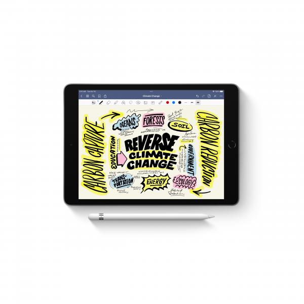 APPLE MQLY3ZM/A PENCIL 1GEN IPAD 6/7/8/9/10G-AIR 3G-PRO 12,9 1/2
