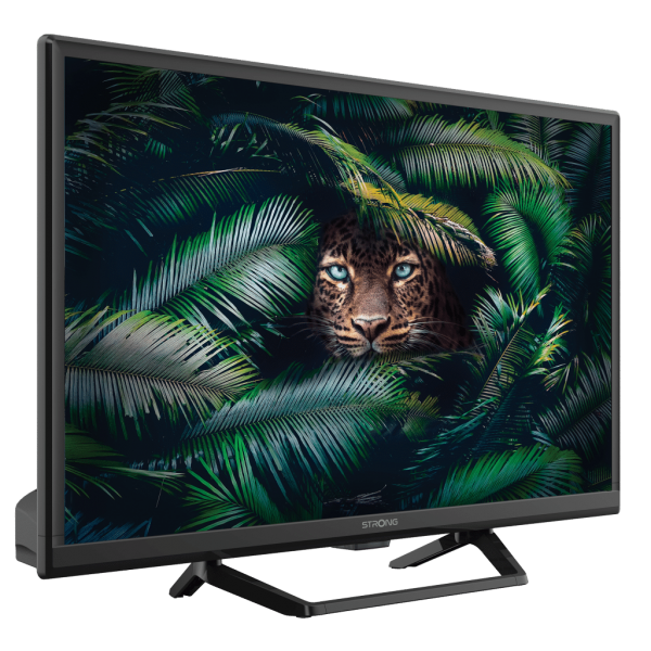 Strong SRT 24HE4023C 61 cm (24") HD Nero 180 cd/m