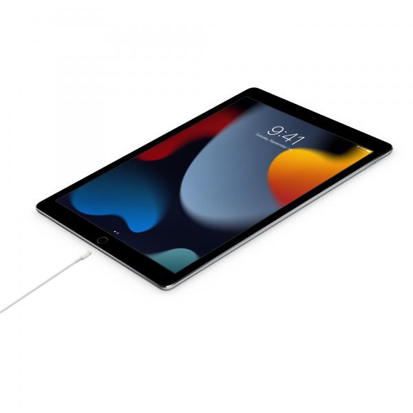 Apple MW2R3ZM/A cavo Lightning 2 m Bianco