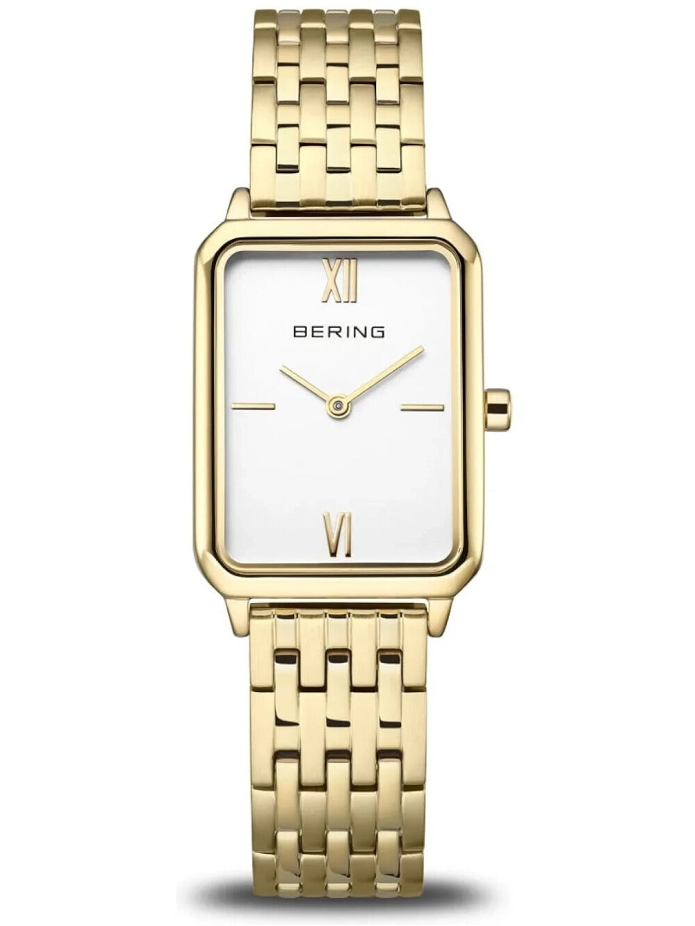 BERING Mod. 17423-734