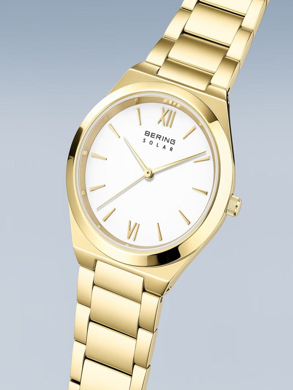 BERING Mod. 19932-734