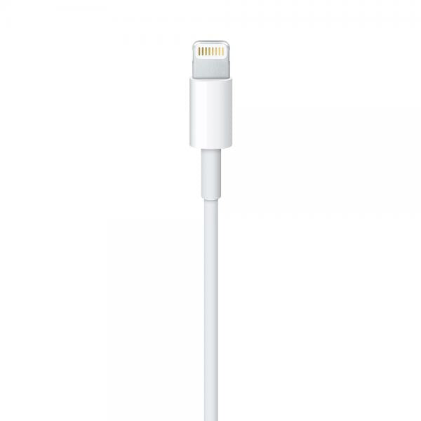APPLE CAVO LIGHTNING A USB 1 MT (MXLY2ZM/A)
