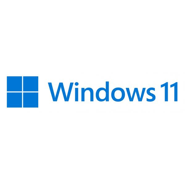 MS WinPro 11 64Bit 1PK DVD Ita