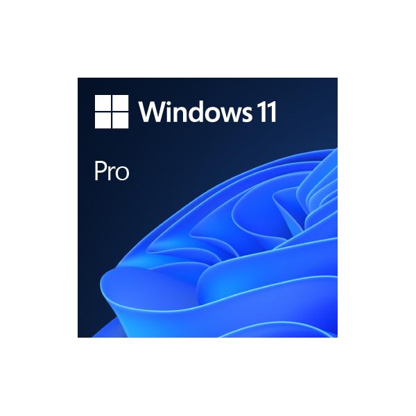 Windows Pro 11 64Bit Eng DSP