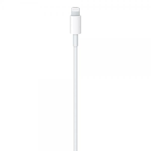 APPLE CAVO LIGHTNING / USB-C - 1 MT (MM0A3ZM/A)