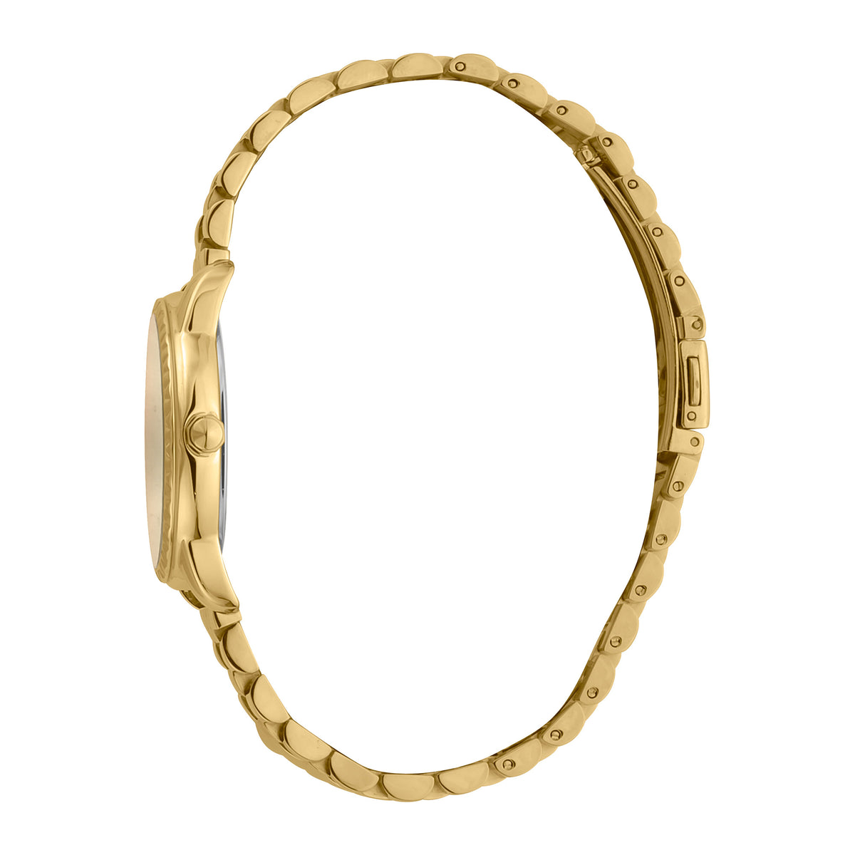 JUST CAVALLI Mod. JC1L176M0055