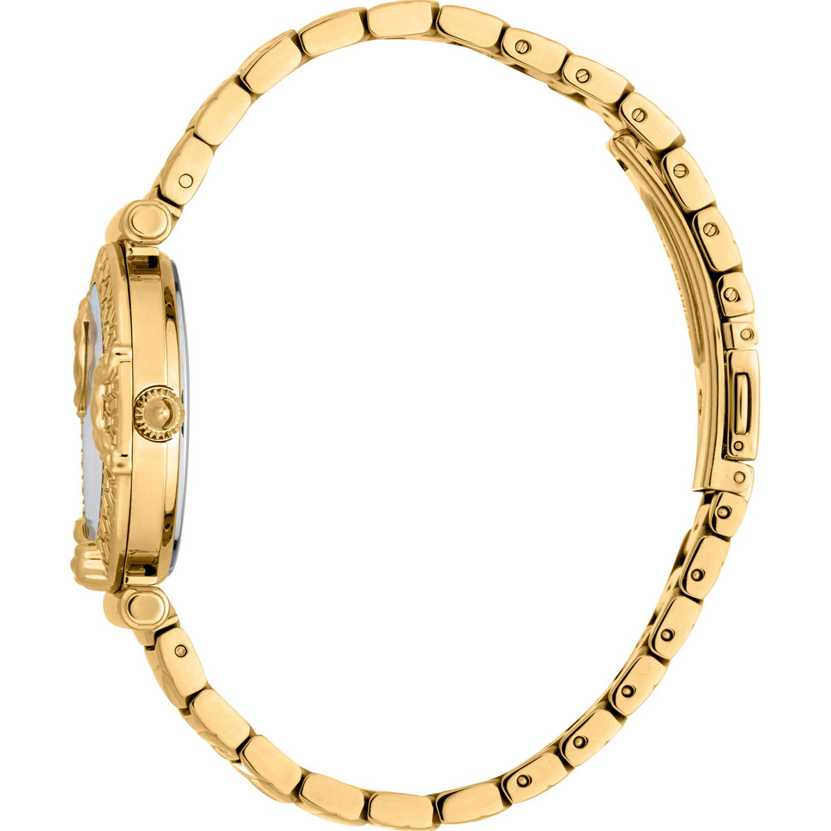 JUST CAVALLI Mod. JC1L234M0225