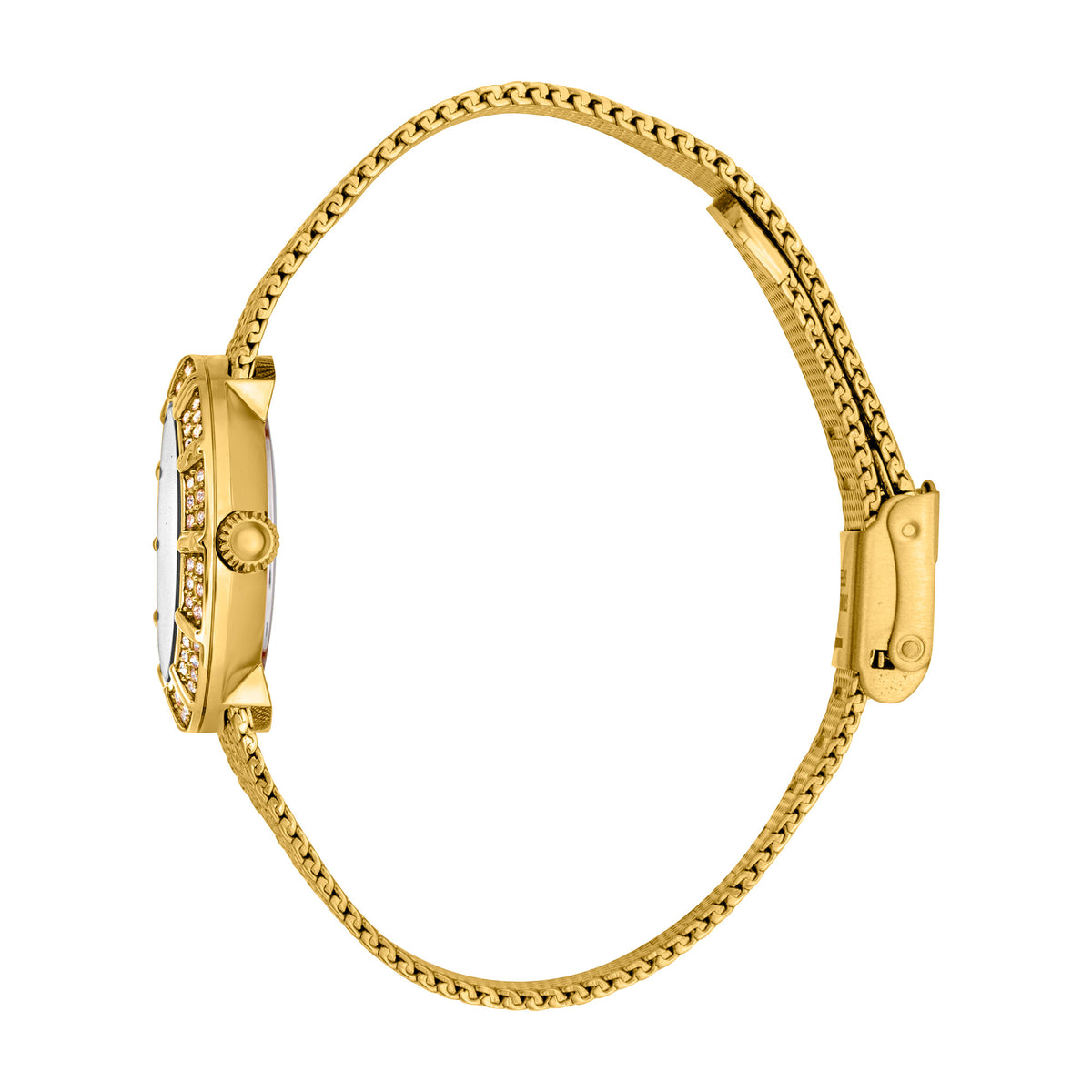JUST CAVALLI TIME WATCHES Mod. JC1L253M0055