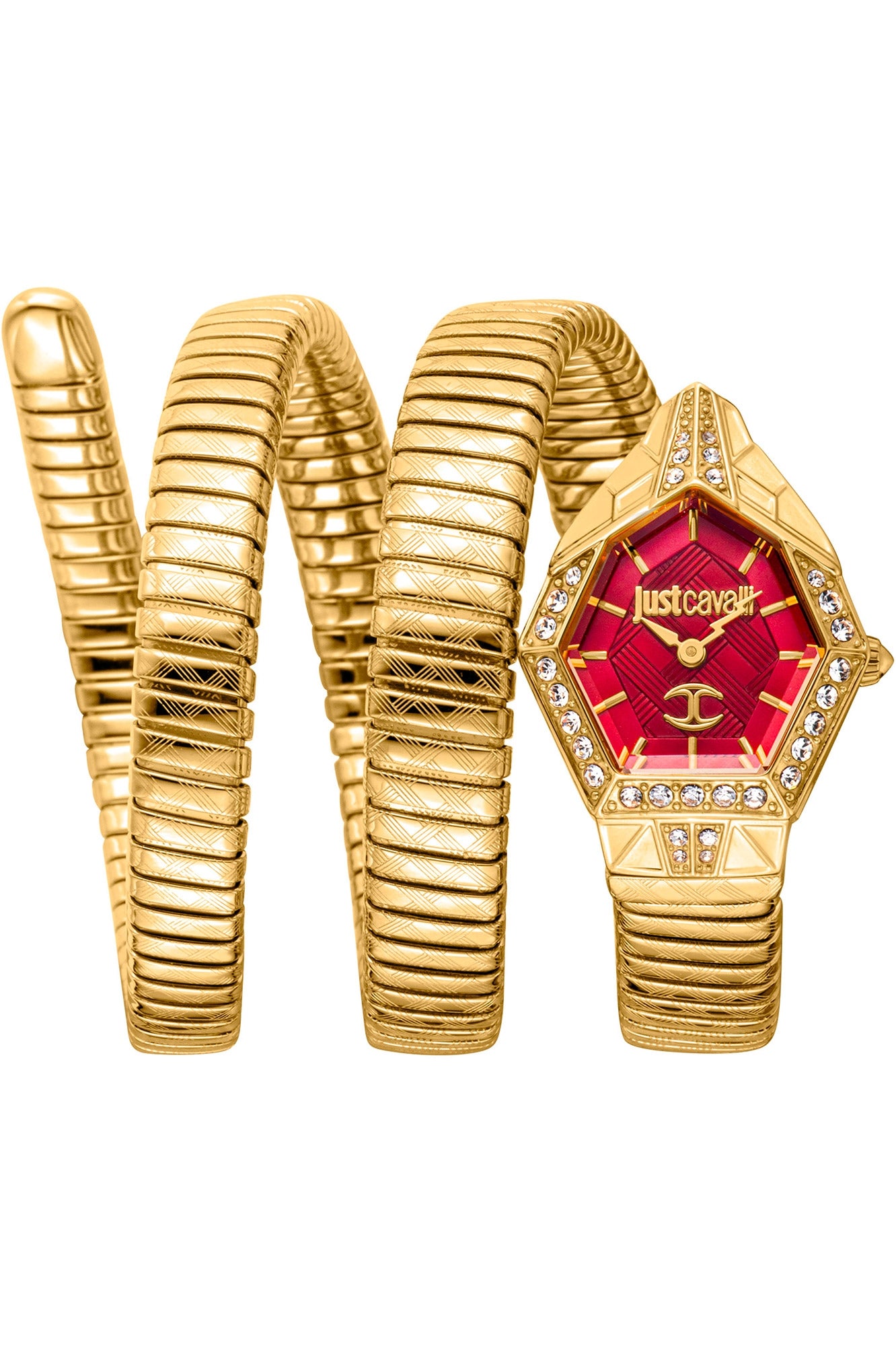 JUST CAVALLI Mod. JC1L304M0035