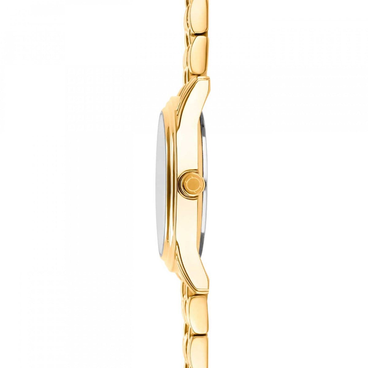 ONE WATCHES Mod. OL2504BG52T