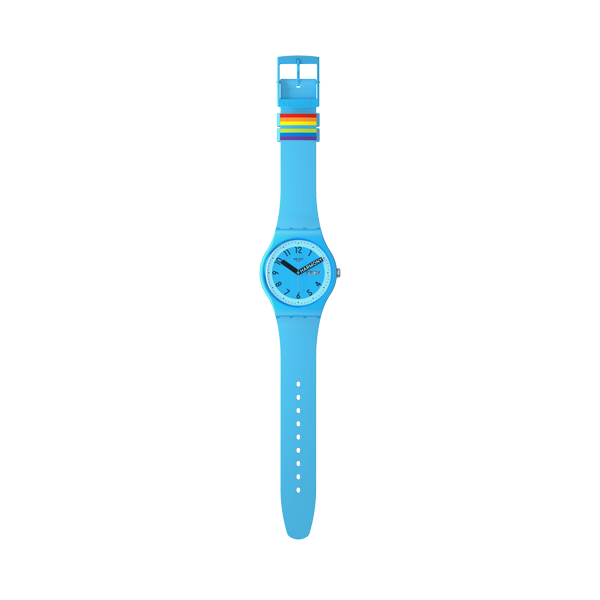 SWATCH WATCHES Mod. SO29S702