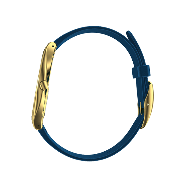 SWATCH WATCHES Mod. SYXG108