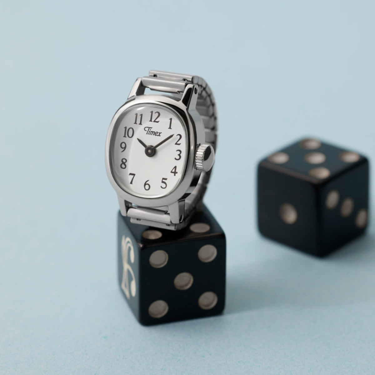TIMEX WATCHES Mod. TW2Y70700