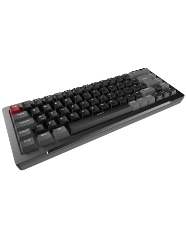 RAIJINTEK TASTIERA GAMING MGA-68 BLACK ALLUMINIO ARGB MAGNETIC SWITCH