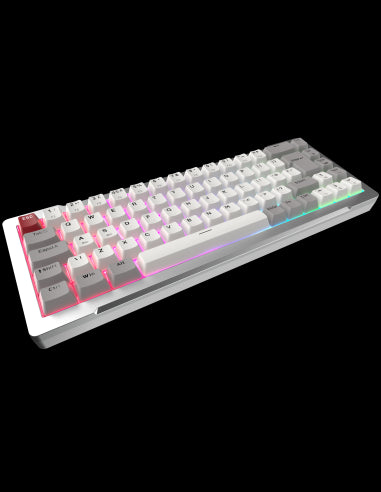 RAIJINTEK TASTIERA GAMING MGA-68 SILVER ALLUMINIO ARGB MAGNETIC SWITCH